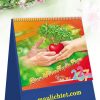 Lịch Bàn Đứng Gieo Mầm Hạnh Phúc