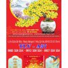 Lịch lò xo giữa bloc Cây Mai