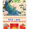 Lịch lò xo giữa bloc Tết An Khang