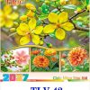 Lịch Treo Tường 7 Tờ Hoa Xuân